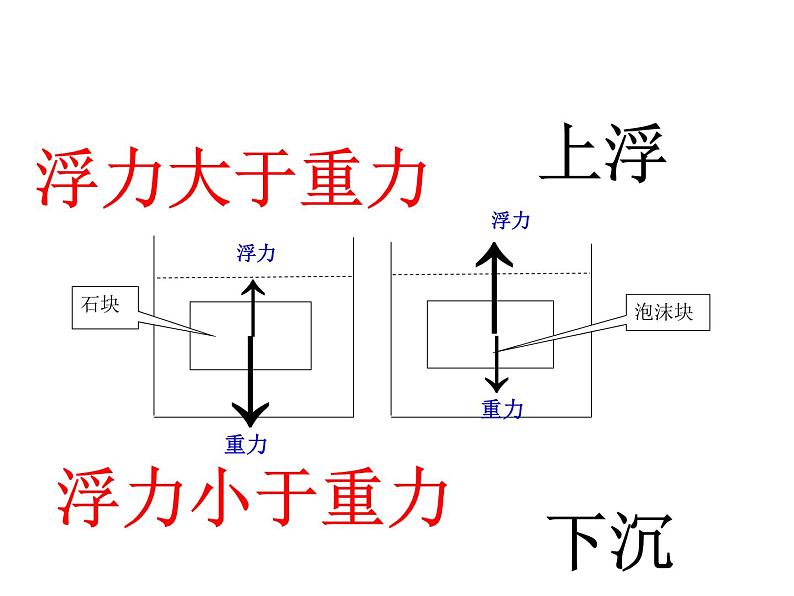 苏教版五下科学课件马铃薯在液体中的沉浮 (1)第4页