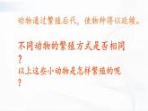 冀人版科學(xué)四年級下冊 第8課-卵生與胎生 教學(xué)課件+視頻素材