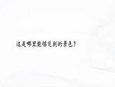 冀人版科学四年级下册 第18课-我家的小菜园（一） 教学课件