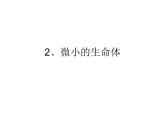 2、微小的生命体课件PPT