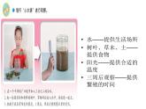 2、微小的生命体课件PPT