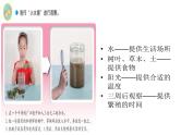 2、微小的生命体课件PPT