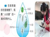 2、微小的生命体课件PPT