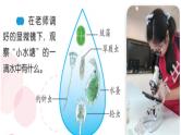 2、微小的生命体课件PPT