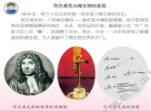 2、微小的生命体课件PPT