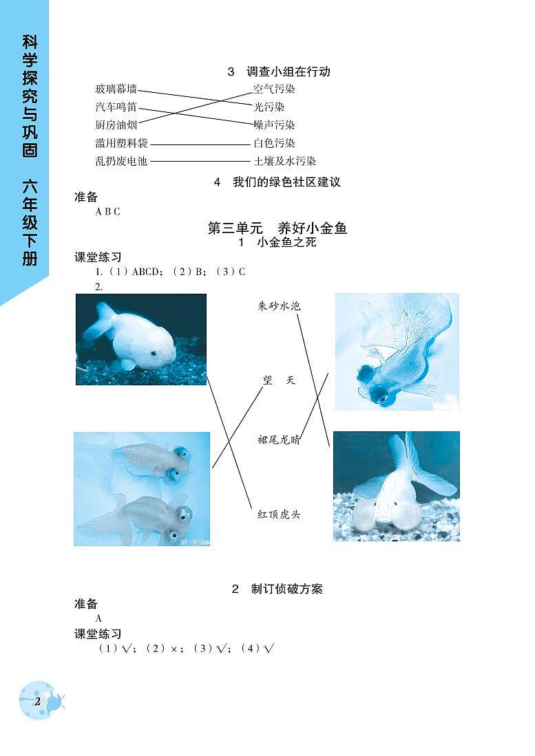 大象版科学探究与巩固六年级下册参考答案 试卷练习02