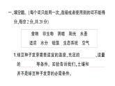 教科版小学科学五年级下册 第一单元 综合训练课件PPT
