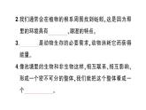 教科版小学科学五年级下册 第一单元 综合训练课件PPT