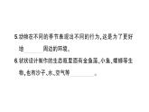 教科版小学科学五年级下册 第一单元 综合训练课件PPT