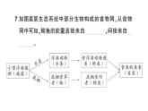 教科版小学科学五年级下册 第一单元 综合训练课件PPT