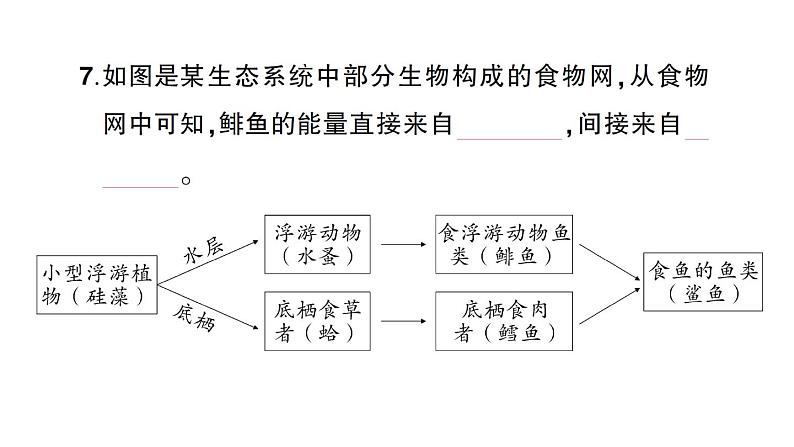 教科版小学科学五年级下册 第一单元 综合训练课件PPT05