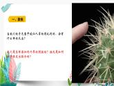 教科版小学科学 课件五上4-5身体的联络员