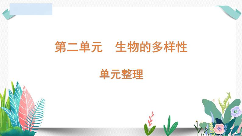 教科版小学科学 课件六下第二单元复习01