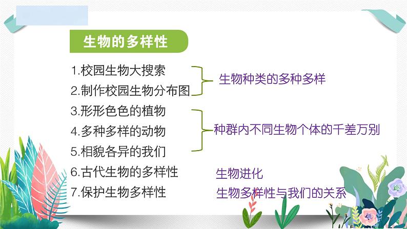 教科版小学科学 课件六下第二单元复习02