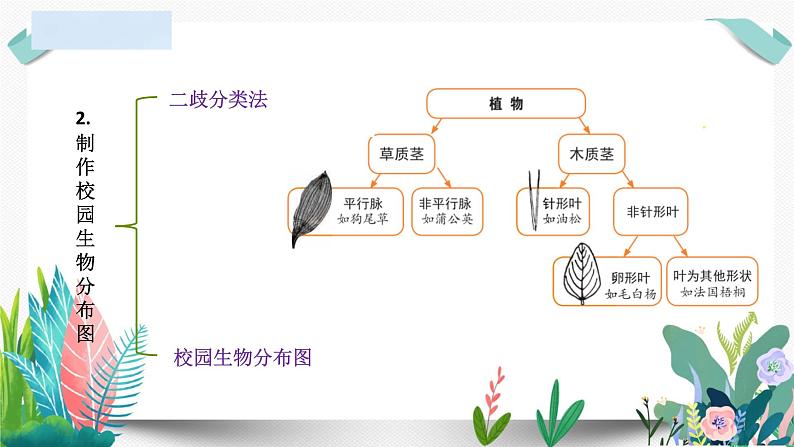 教科版小学科学 课件六下第二单元复习04