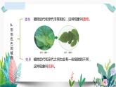 教科版小學科學 課件六下第二單元復習