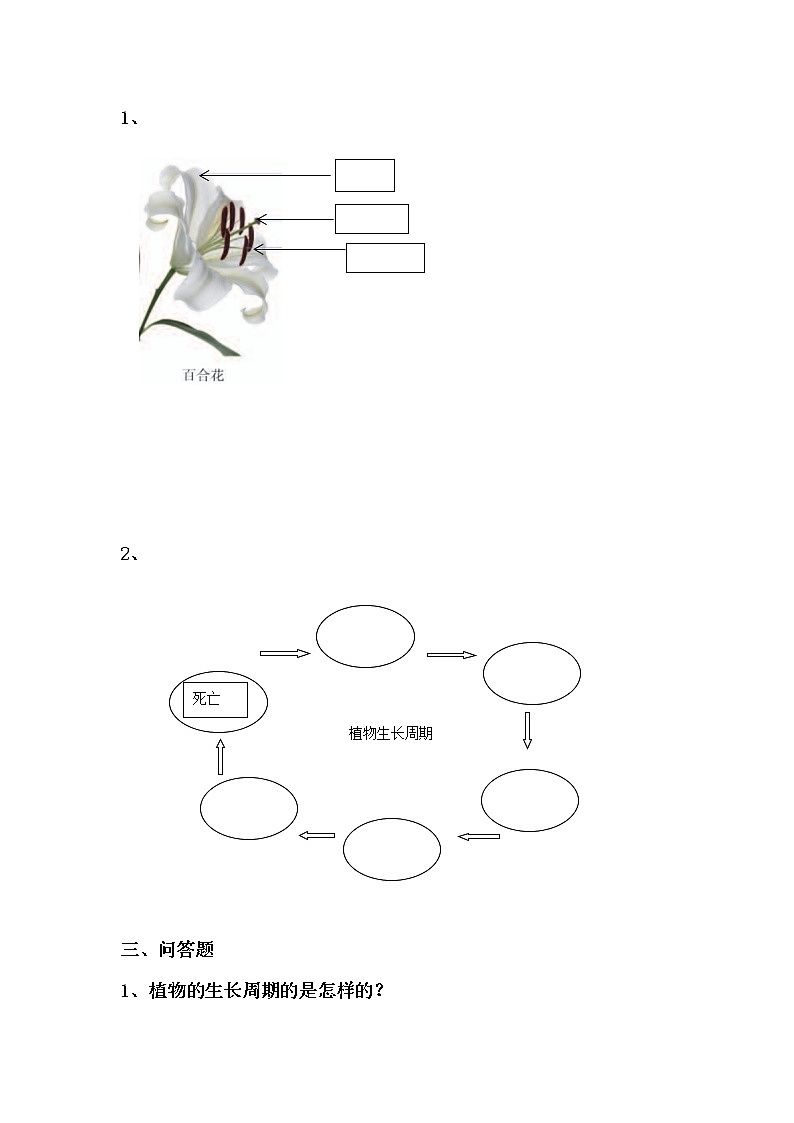 人教版鄂教版科学三年级下册 第二单元测试卷+答案02