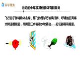 3教科版科学 .6《运动的小车》课件教案