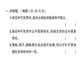教科版小学科学五年级下册 第一至四单元 阶段性综合复习(二)课件