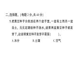 教科版小学科学五年级下册 第一至四单元 阶段性综合复习(二)课件