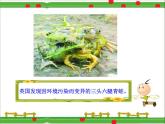小学科学湘教版六年级下册第二单元_3 清洁剂的“威力”_教学课件+视频素材