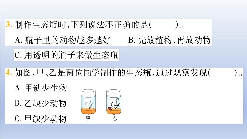 小学科学教科版五年级下册第一单元第7课《设计和制作生态瓶》作业课件2（2022新版）07