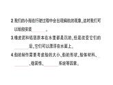 教科版小学科学五年级下册 第二单元 综合训练课件PPT