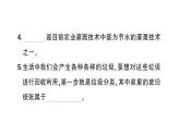 教科版小學(xué)科學(xué)五年級下冊 第三單元 綜合訓(xùn)練課件PPT