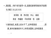 教科版小学科学五年级下册 第四单元 综合训练课件PPT