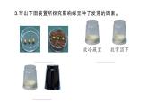 教科版小学科学五年级下册 期末复习一 生物与环境课件