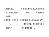 教科版小学科学五年级下册 期末复习三 环境与我们课件