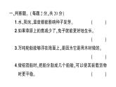 教科版小学科学五年级下册 第一至四单元 阶段性综合复习(一)课件
