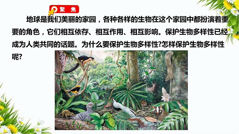 2.7《保护生物多样性》(课件+教案+习题）03