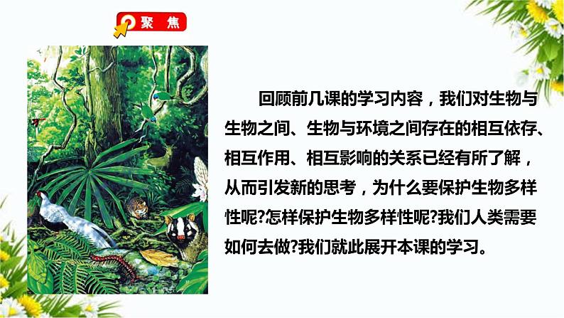 2.7《保护生物多样性》(课件+教案+习题）04