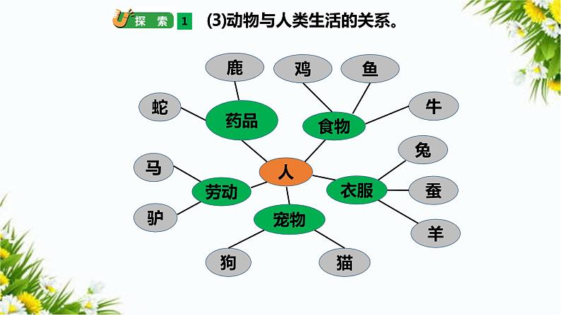 2.7《保护生物多样性》(课件+教案+习题）08