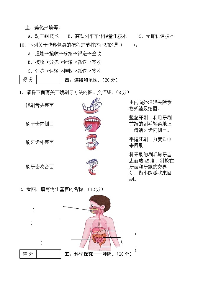 冀人版科学（2017）四年下册期末测试卷及答案第3页