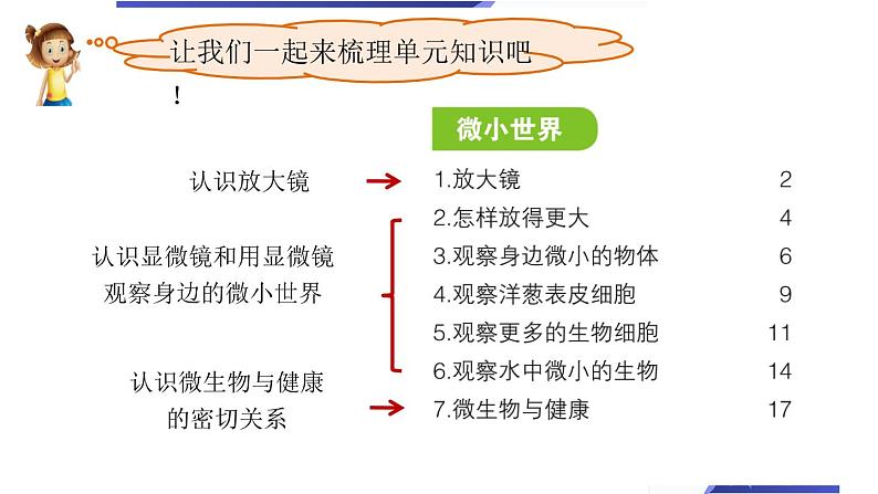 教科版六上《微小世界》单元整理课教学课件第2页