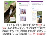 教科版六上《工具与技术》单元整理PPT