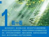 教科版科學(xué) 教科版五上《光》單元整理課件PPT