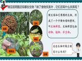 7.设计和制作一个生态瓶课件PPT