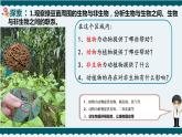 7.设计和制作一个生态瓶课件PPT