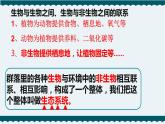 7.设计和制作一个生态瓶课件PPT