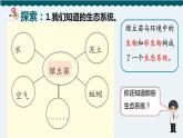7.设计和制作一个生态瓶课件PPT