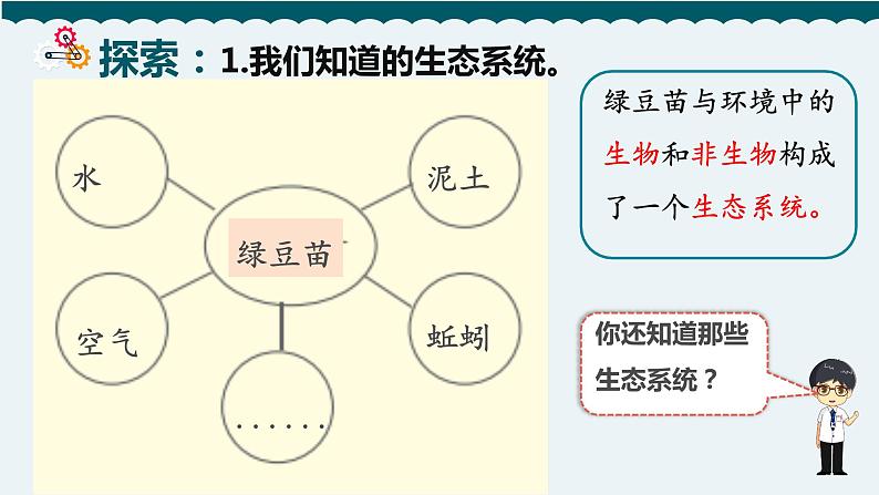 7.设计和制作一个生态瓶课件PPT05