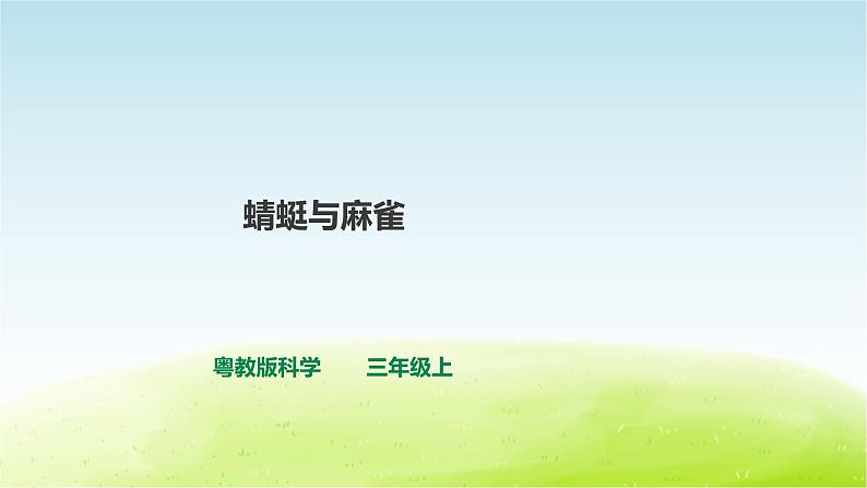 粤教版三年级上册科学1.2《蜻蜓与麻雀》课件01