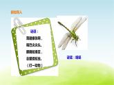 粤教版三年级上册科学1.2《蜻蜓与麻雀》课件