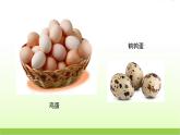 蘇教版科學(xué)五下2.蛋殼與薄殼結(jié)構(gòu)公開課教學(xué)PPT課件+教案