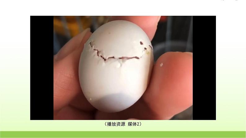 2.蛋壳与薄壳结构第6页