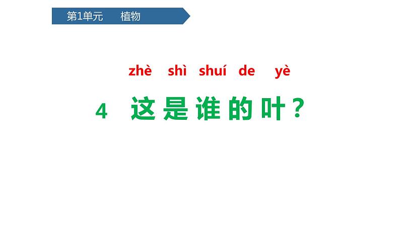 教科版一年级上册第四单元这是谁的叶同步备课完整版PPT课件全套第1页