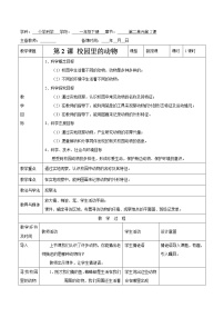 小学科学教科版 (2017)一年级下册2.校园里的动物教案设计